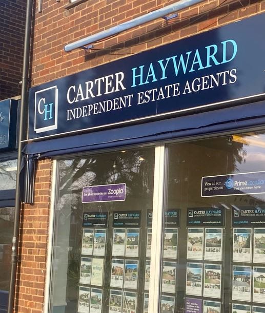 Carter Hayward, photo 2