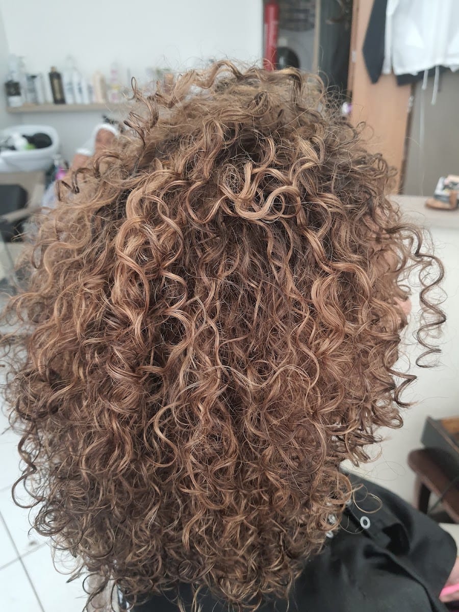Hair Elegance, photo 2