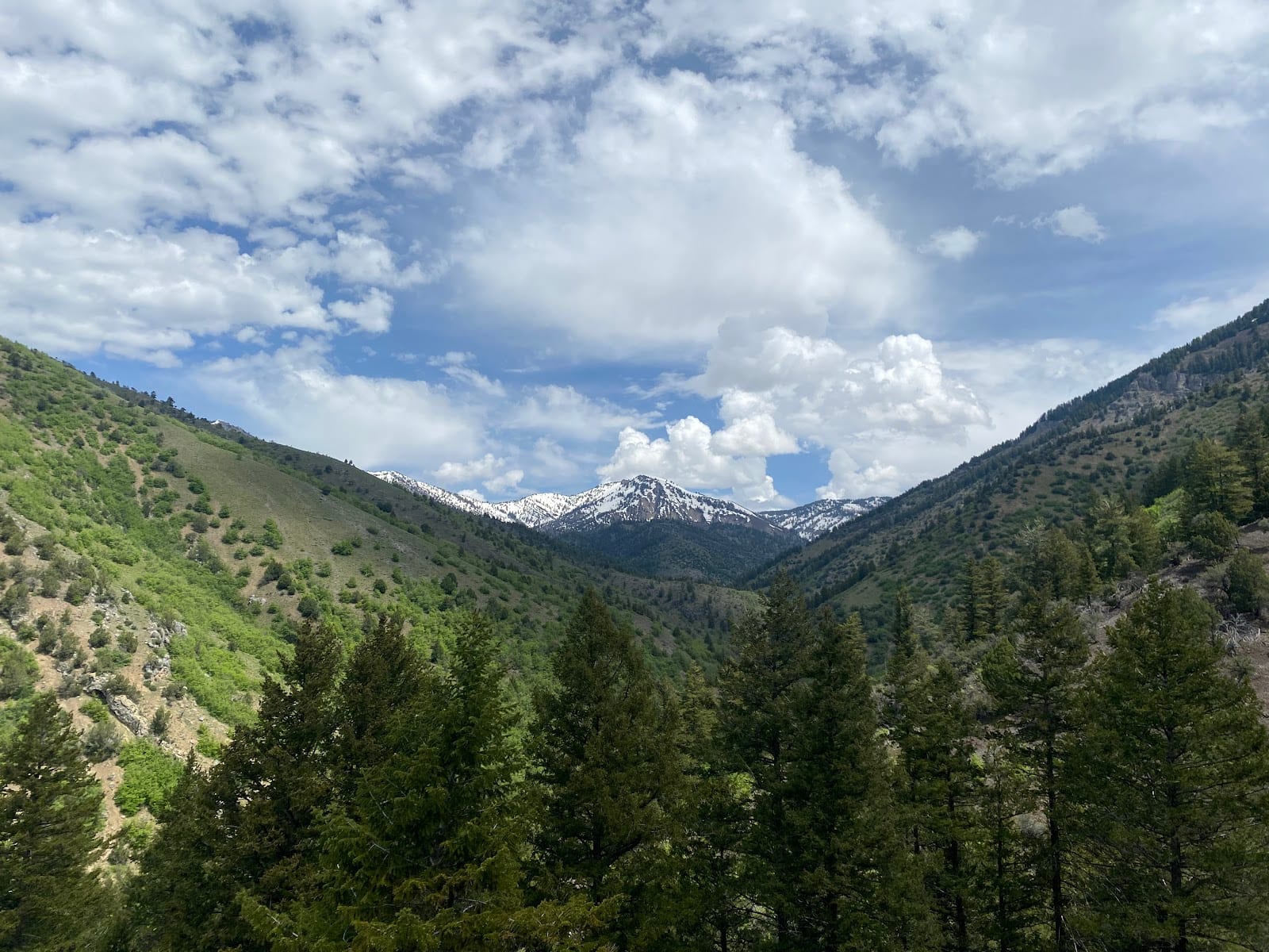 Preston Valley Trail Head, Green Canyon