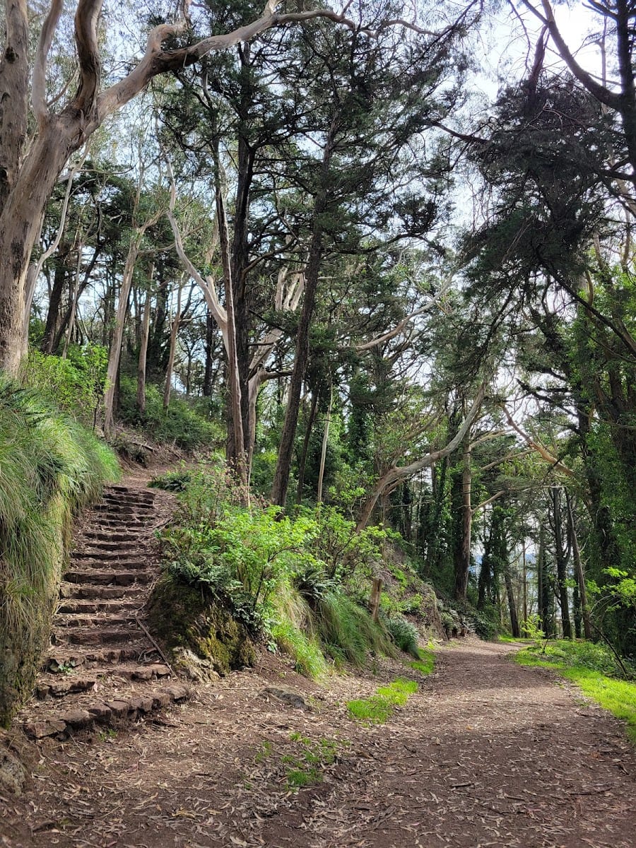 Mount Davidson Paved Path