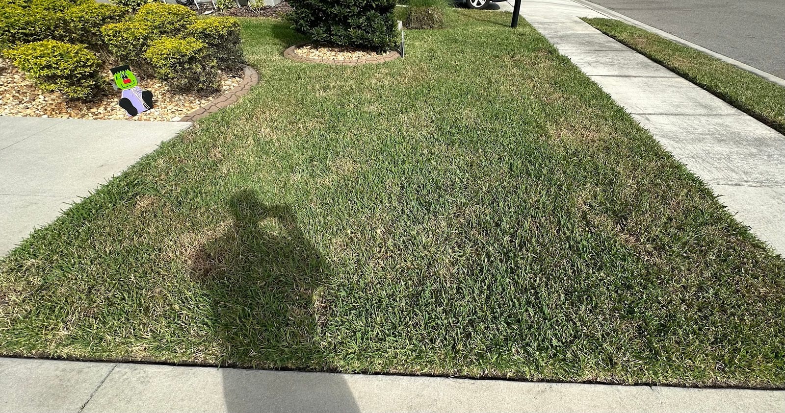 Signature Home Lawn and Pest Control, photo 4