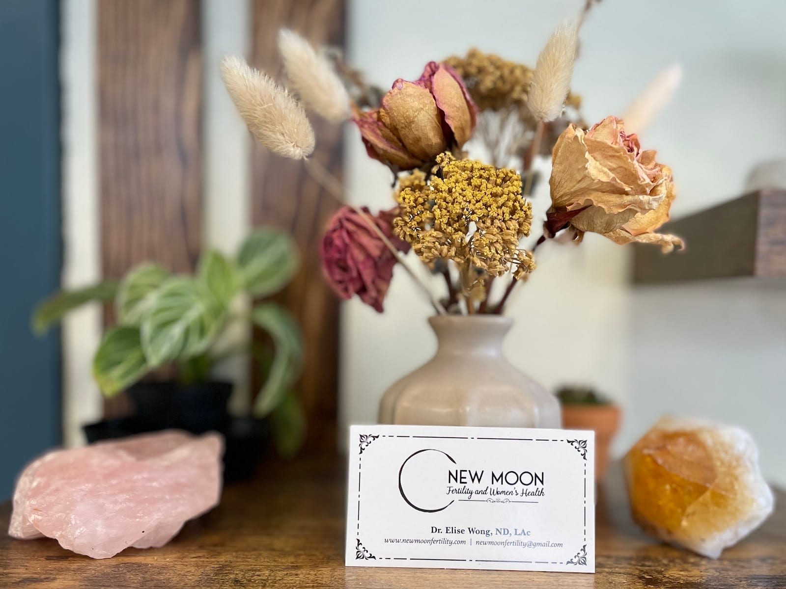 New Moon Fertility and Women's Health