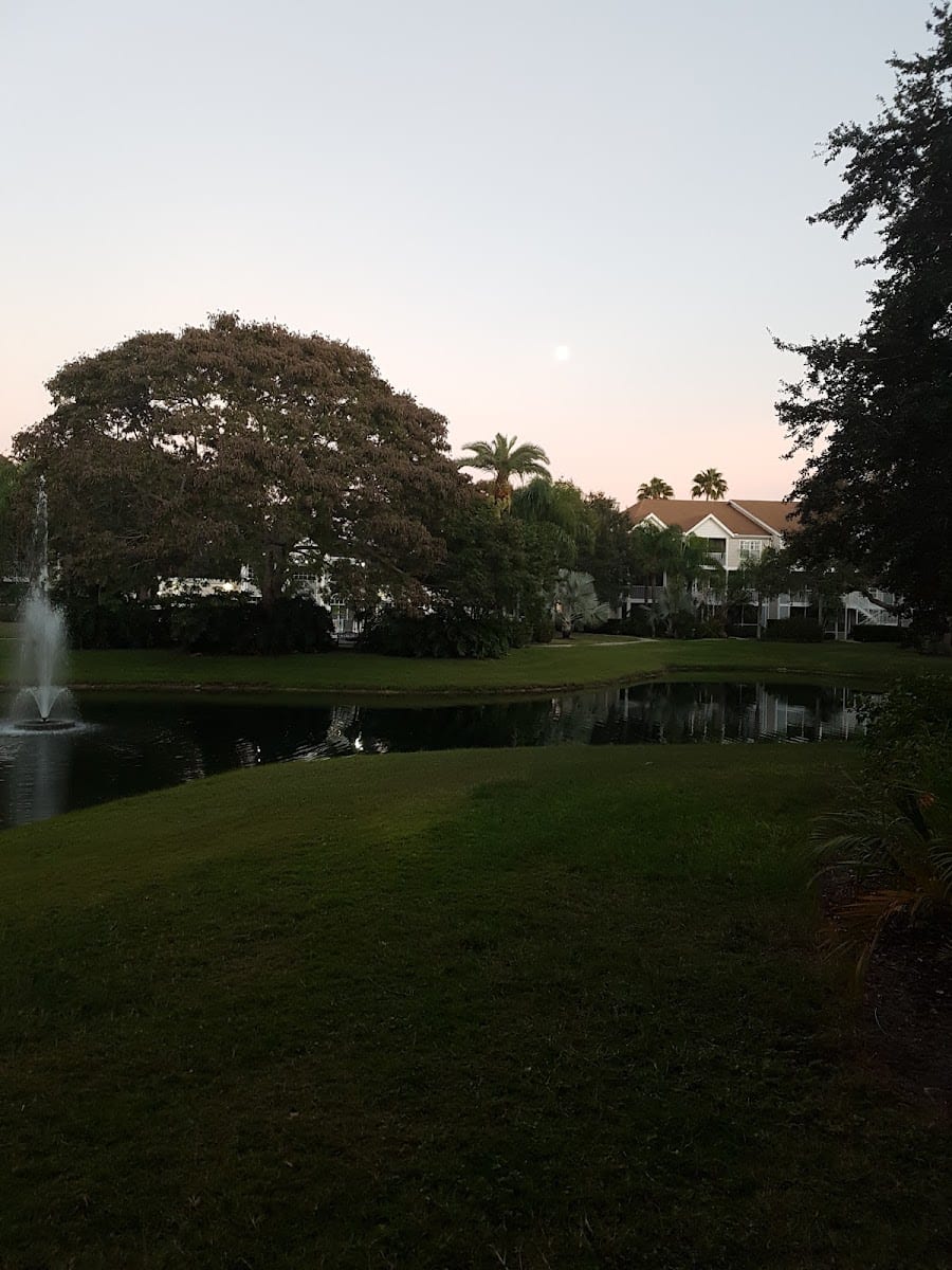 Central Park Realty