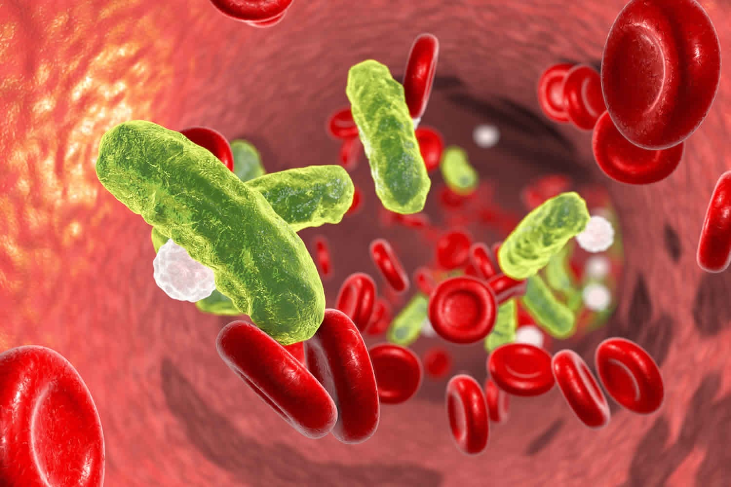 Arizona Infectious Disease Scottsdale
