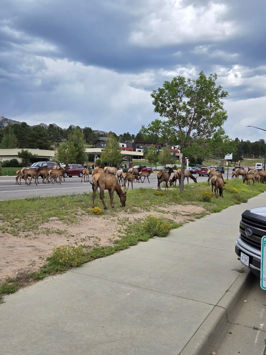 Ponderosa Realty & Management, photo 4