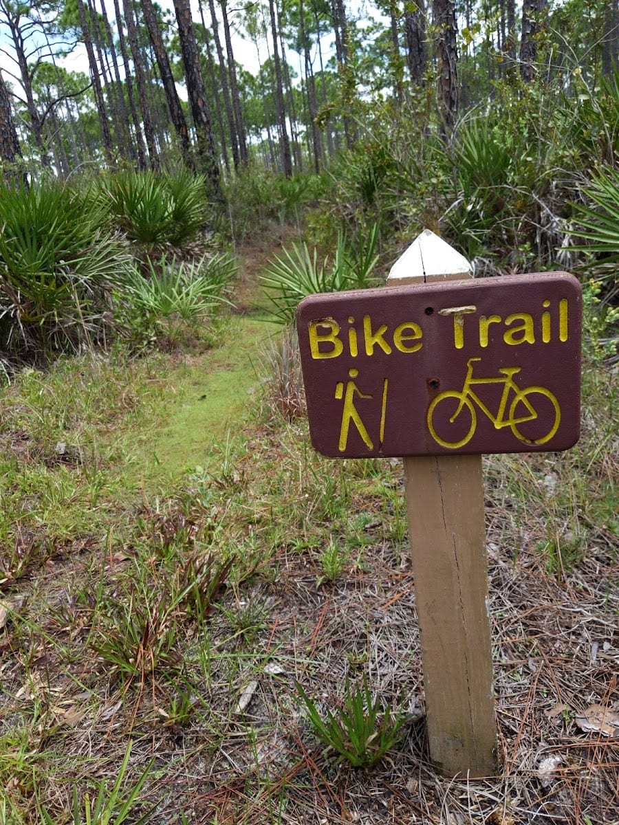 North Loop- Florida State Forest Trail, photo 3