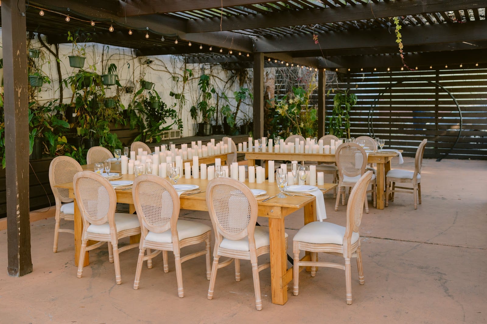 Fancy Free Nursery, photo 4