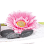 Summerlin Spa LLC (formally The SPA at Suncoast)
