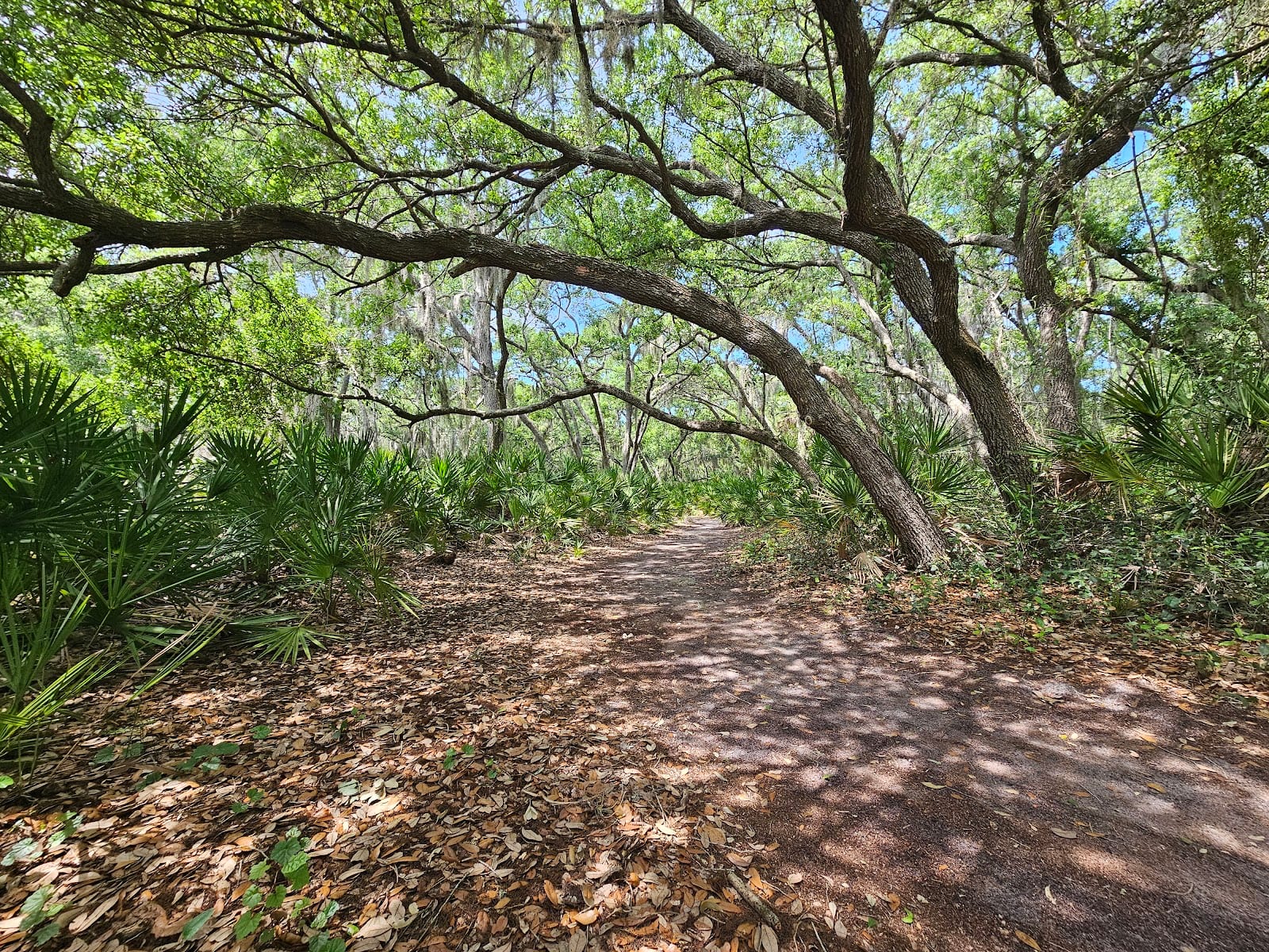 Potter Park, photo 2