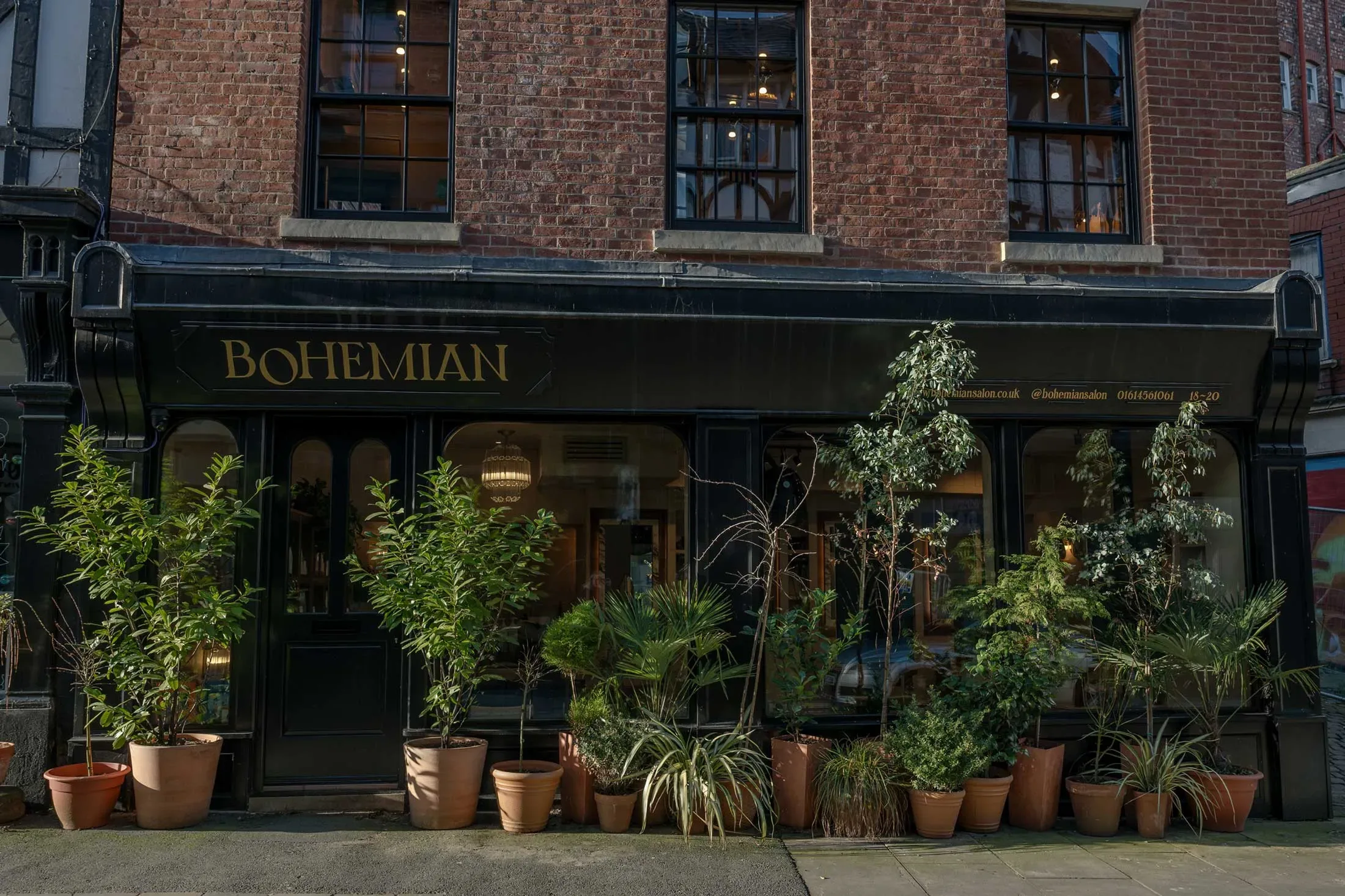 Bohemian Salon