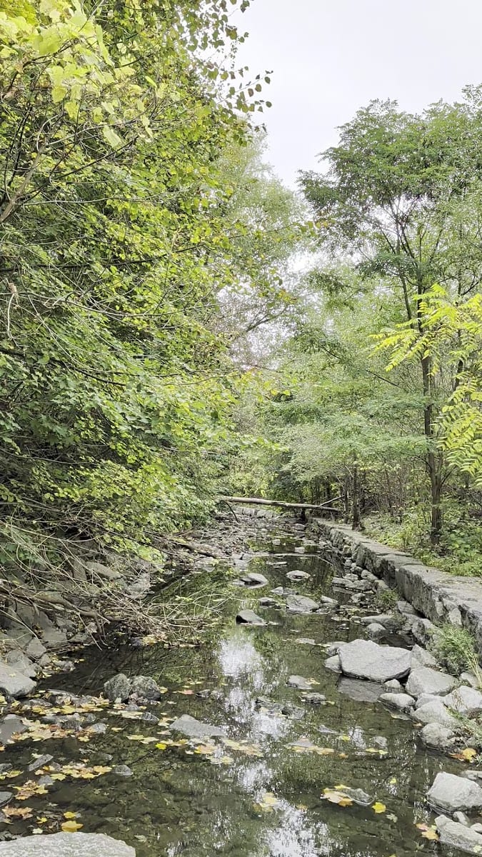 Duncan Creek Trail, photo 2