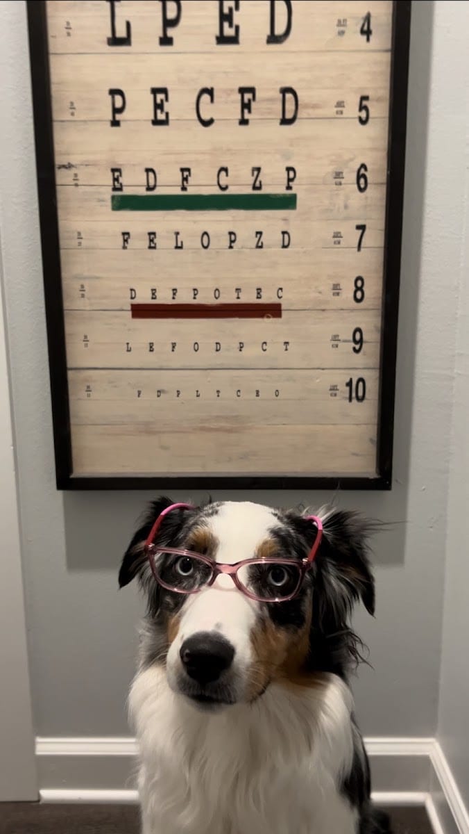 Kuykendall Optometric Clinic, photo 2