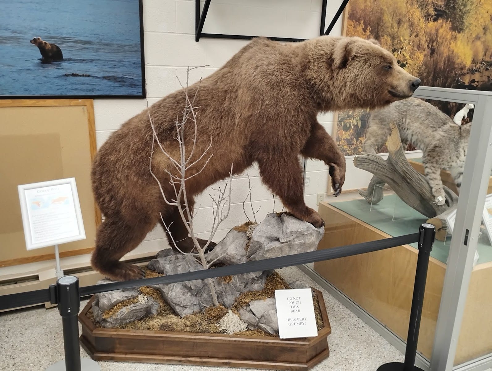 Werner Wildlife Museum at Casper College