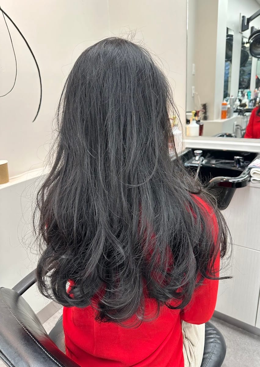 Hair Gallery