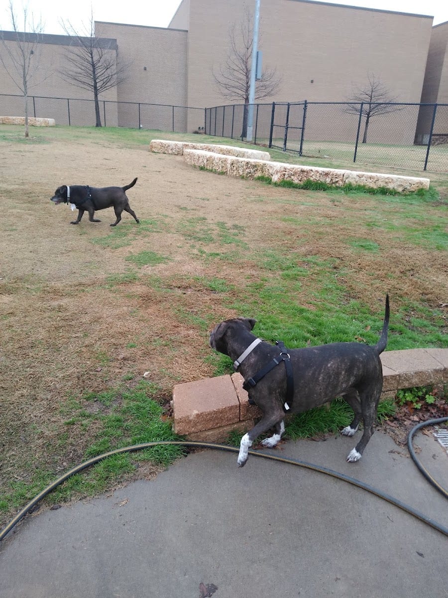 Rosemeade Dog Park