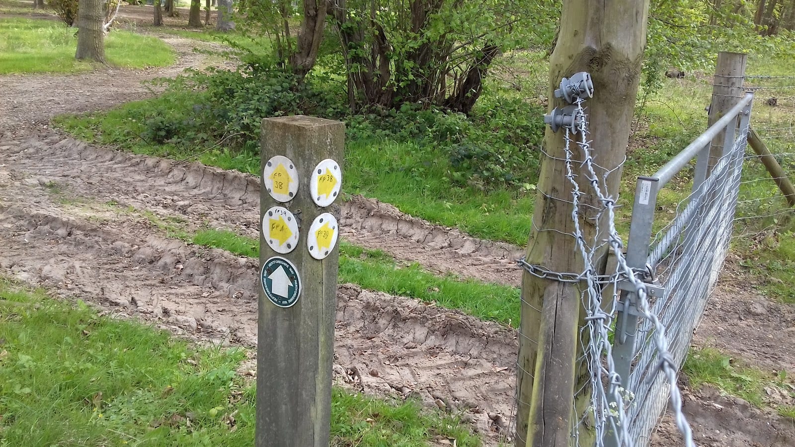 Lamer Park, photo 3