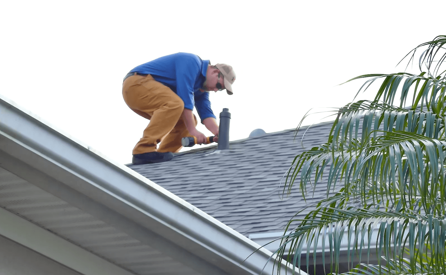 Turner Pest Control, photo 4
