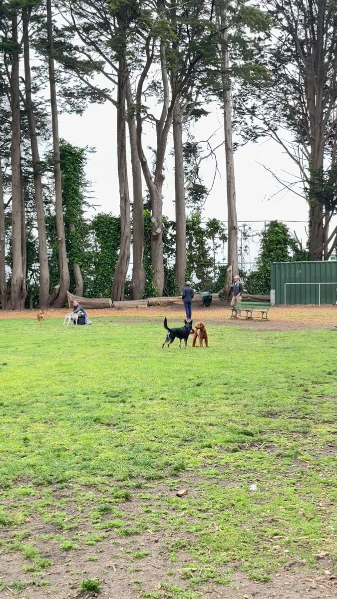 Walter Haas Dog Play Area, photo 2