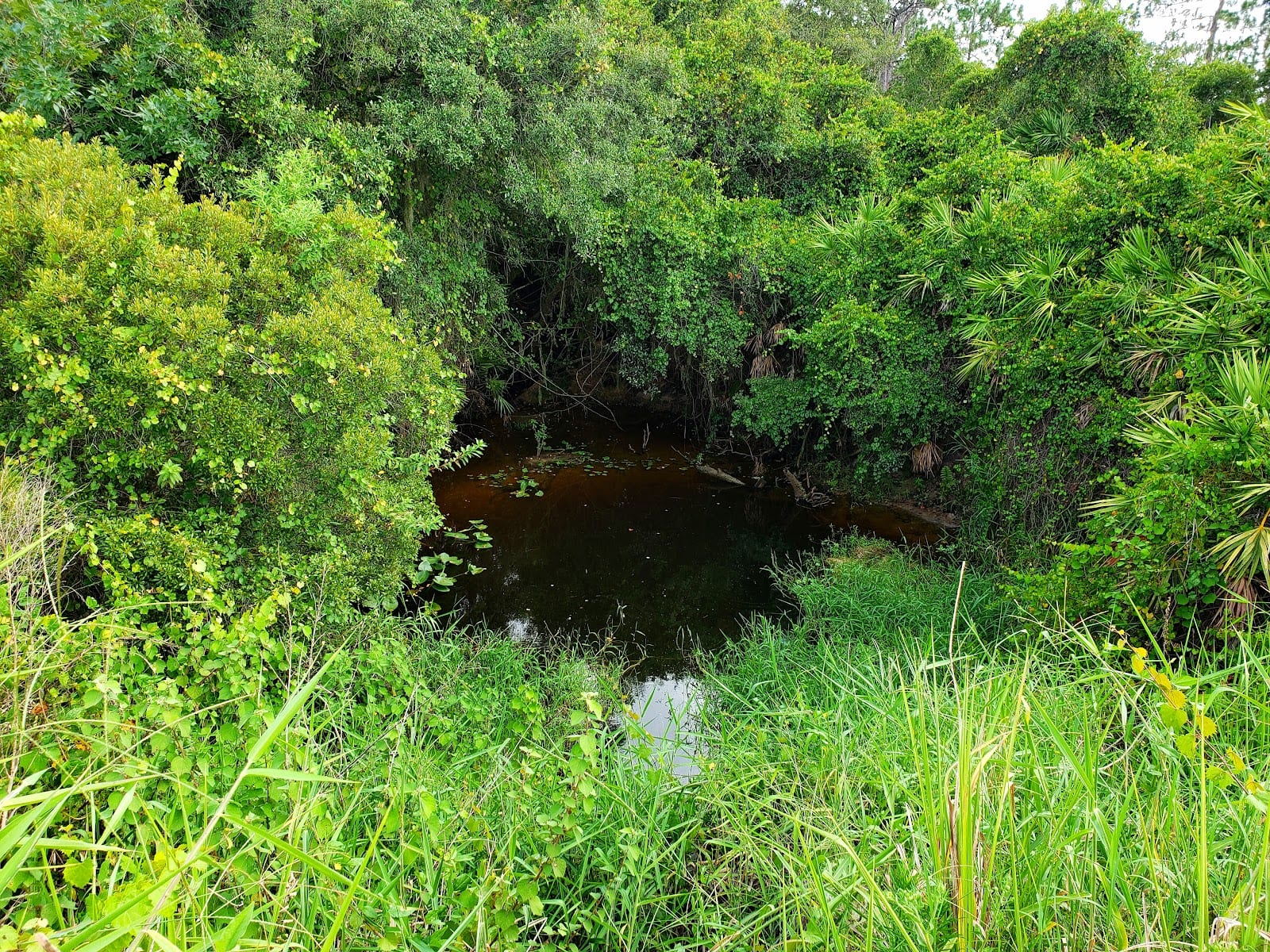 Shell Creek Preserve, photo 4