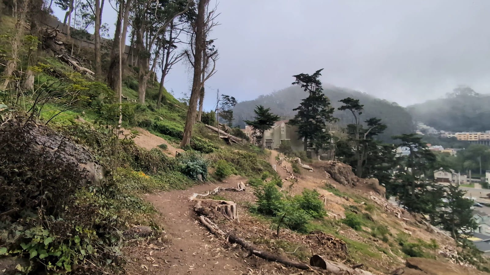Edgehill Mountain Park, photo 2