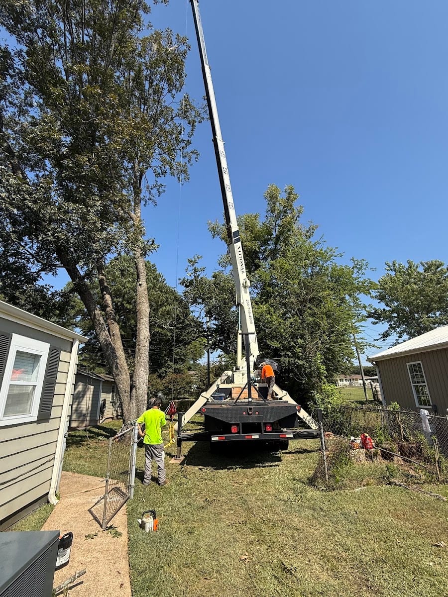Huntsville Tree Service