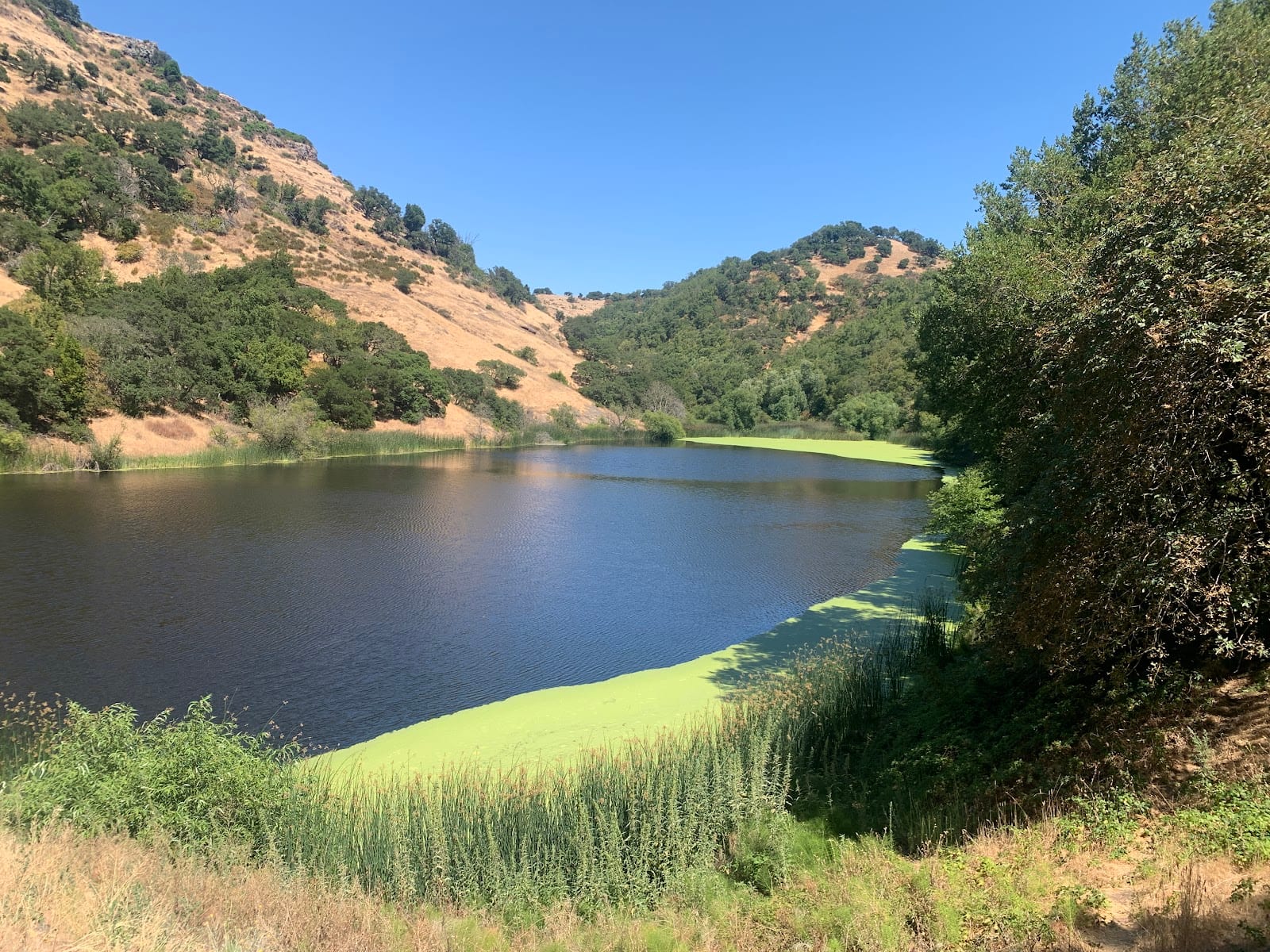 Lake Marie Dam