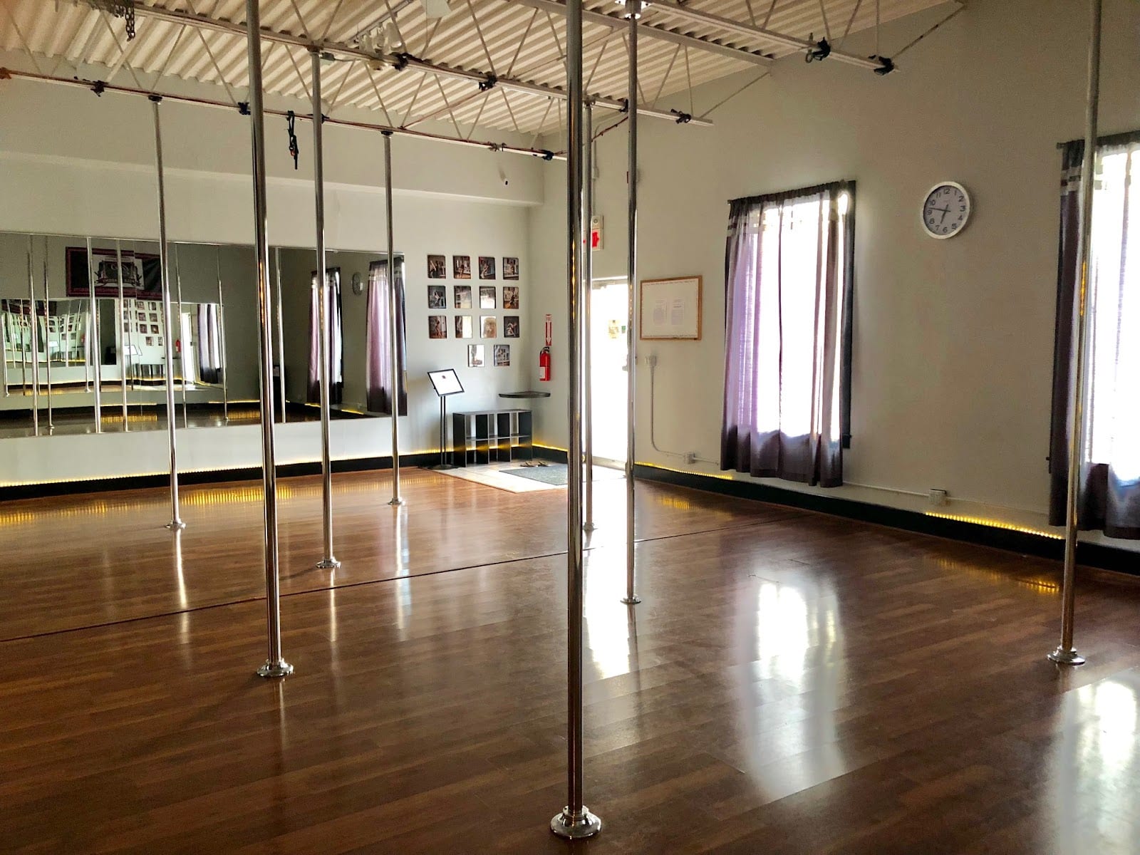 Pennsylvania Pole Academy, photo 4