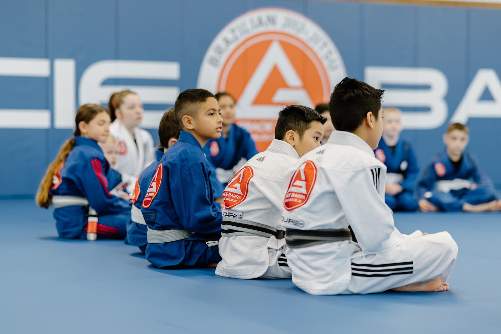 Gracie Barra Frisco, photo 3
