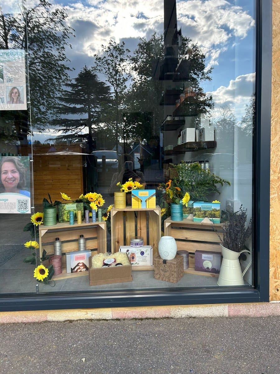 Nadya Giffen Therapies Ltd