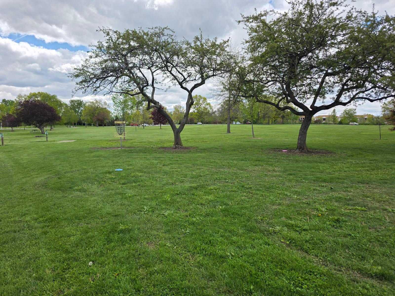 Shoaff Park Disc Golf Course