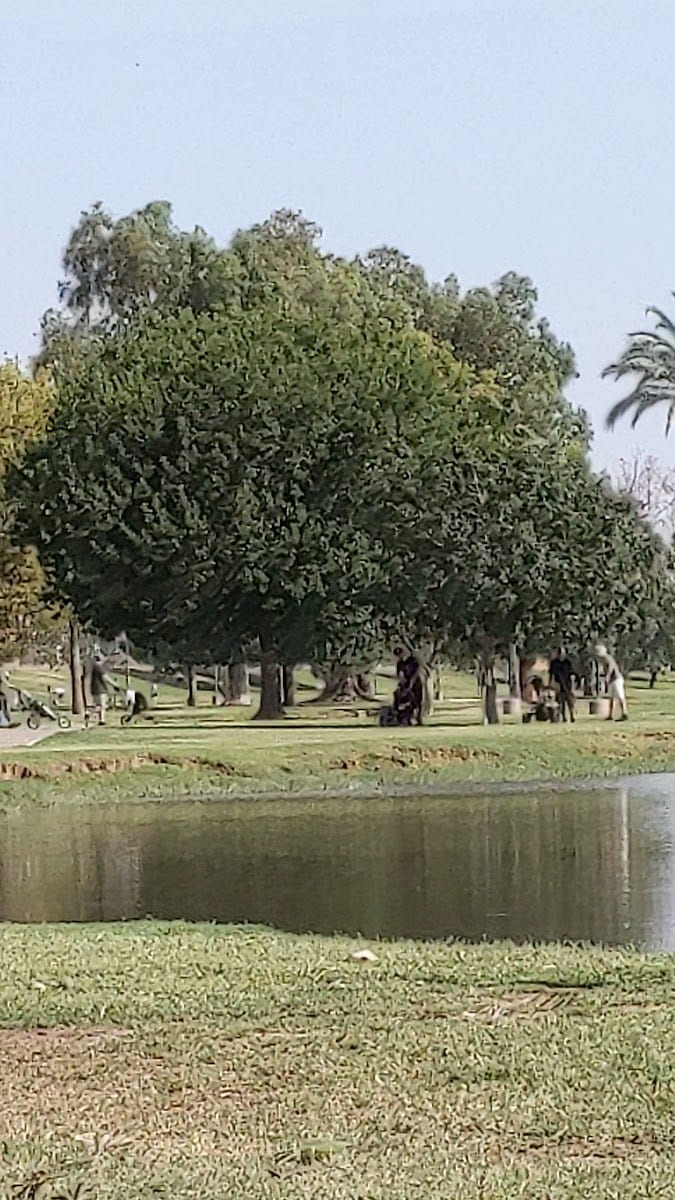 Vista del Camino Disc Golf Course, photo 2