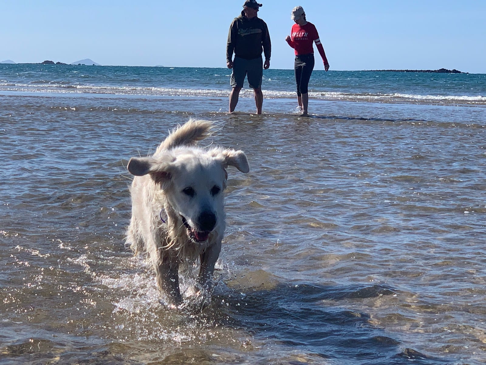 Seaview Park - Off Leash Dog Beach