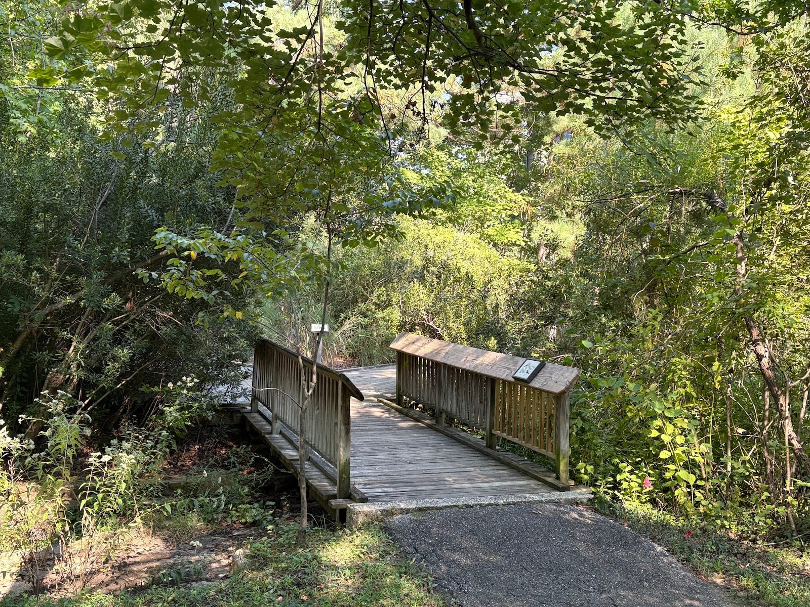Tawes Garden