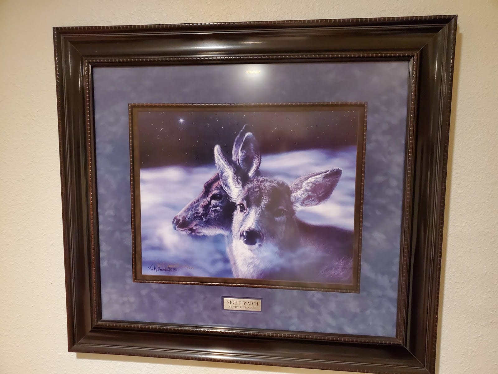Artist's Choice