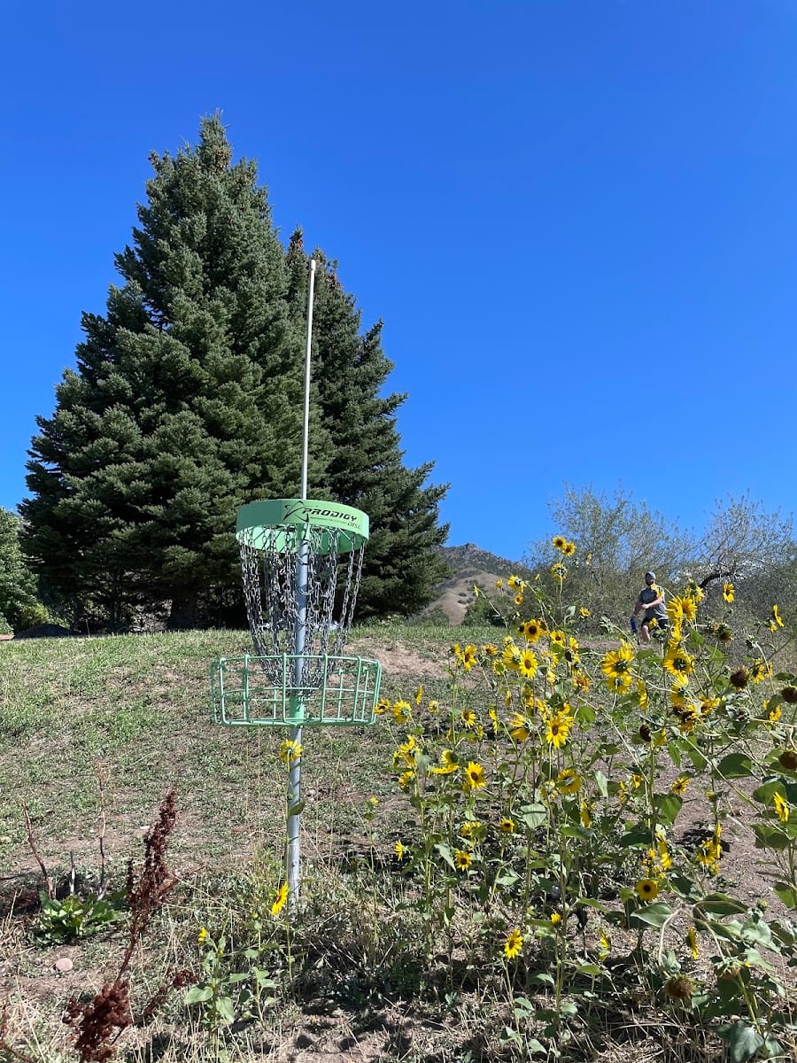 Blind Gulley Disc Golf Course, photo 2