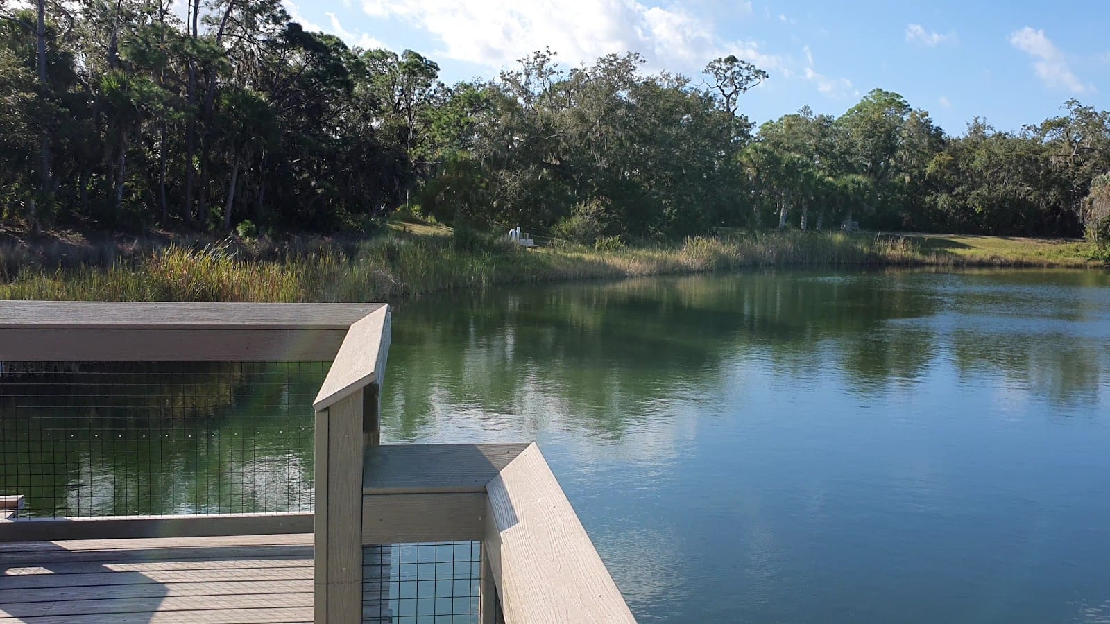 Oscar Scherer State Park, photo 2