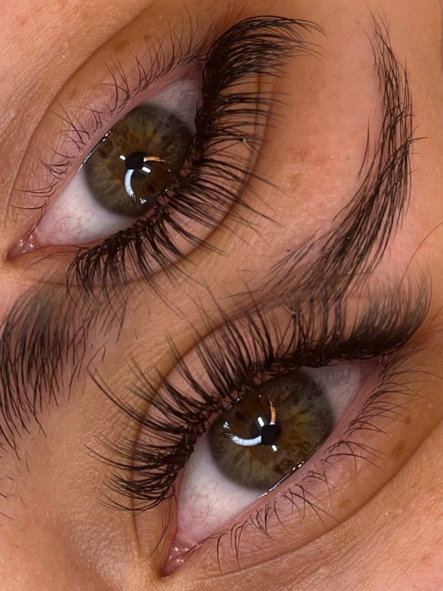 The Lash Diva & Brows
