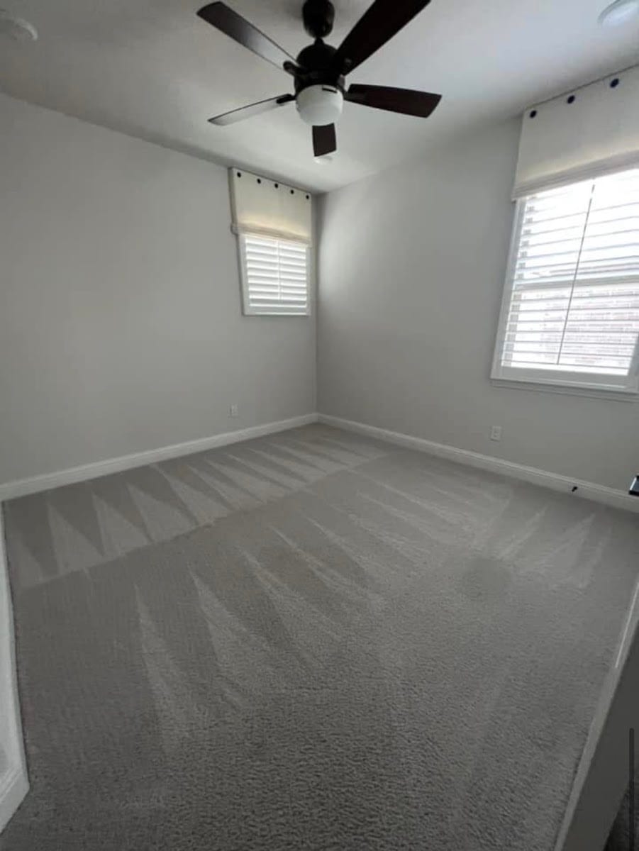 Elvia House Cleaning Service