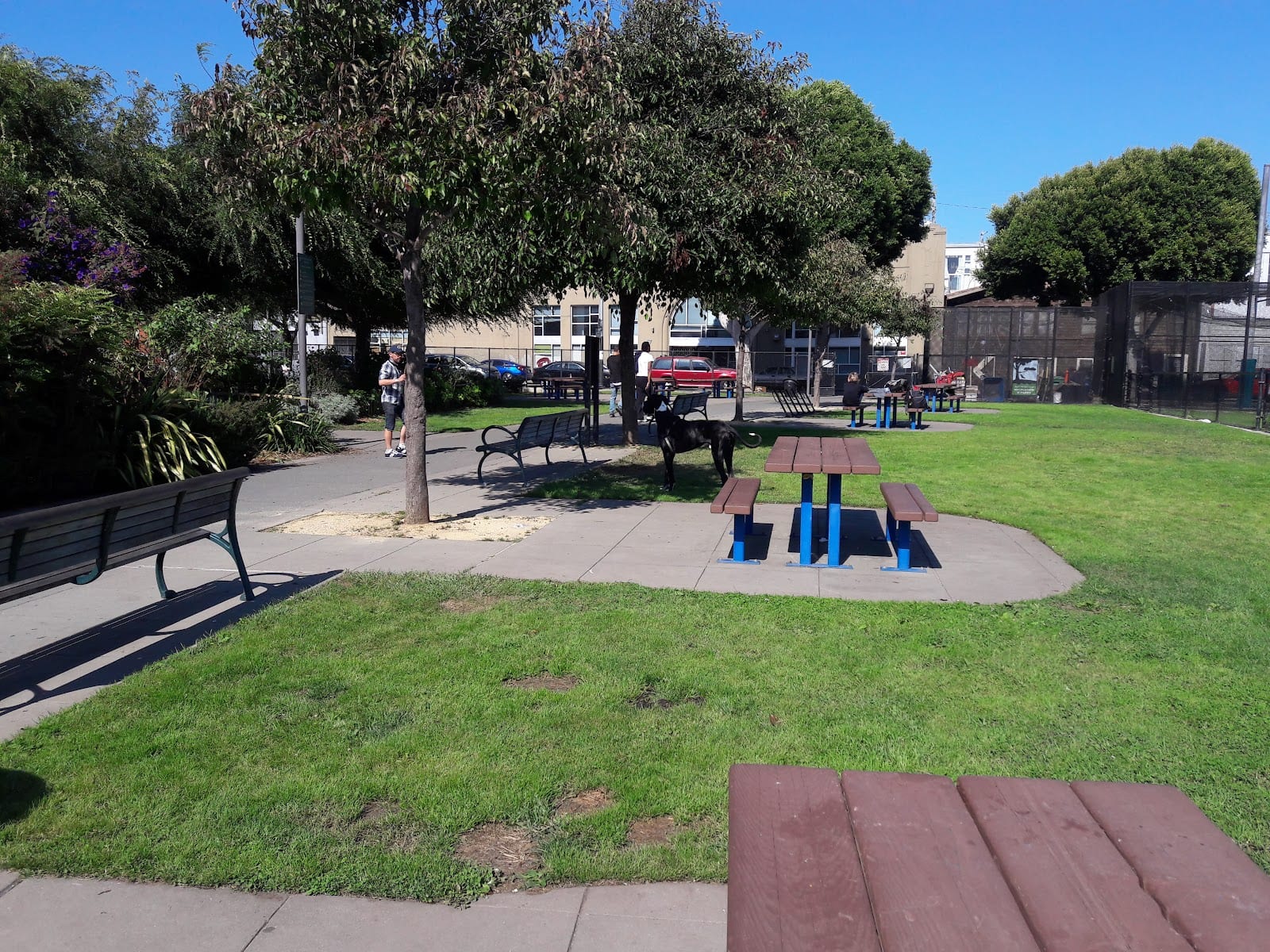 Victoria Manalo Draves Park