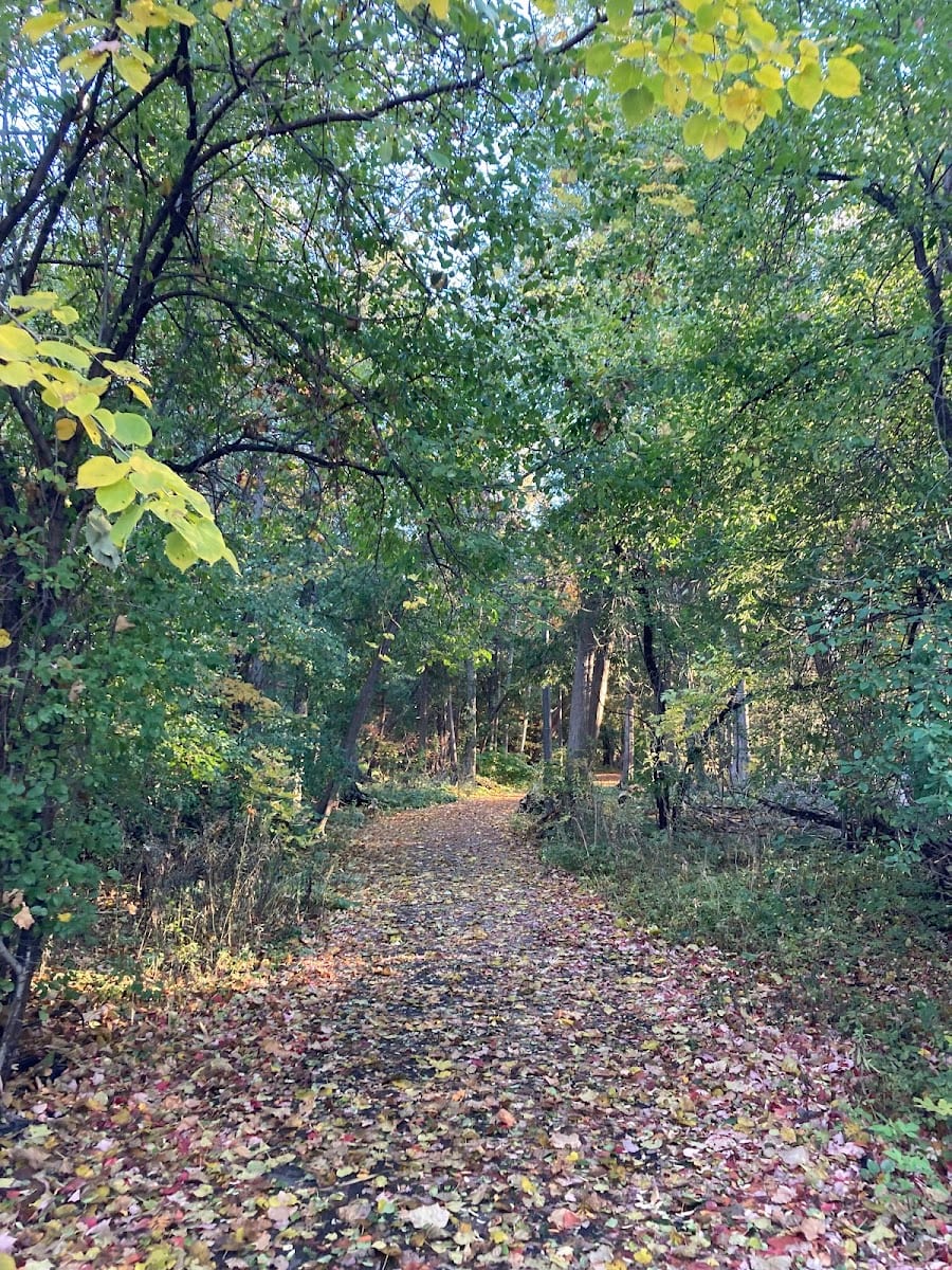 Newberry Park