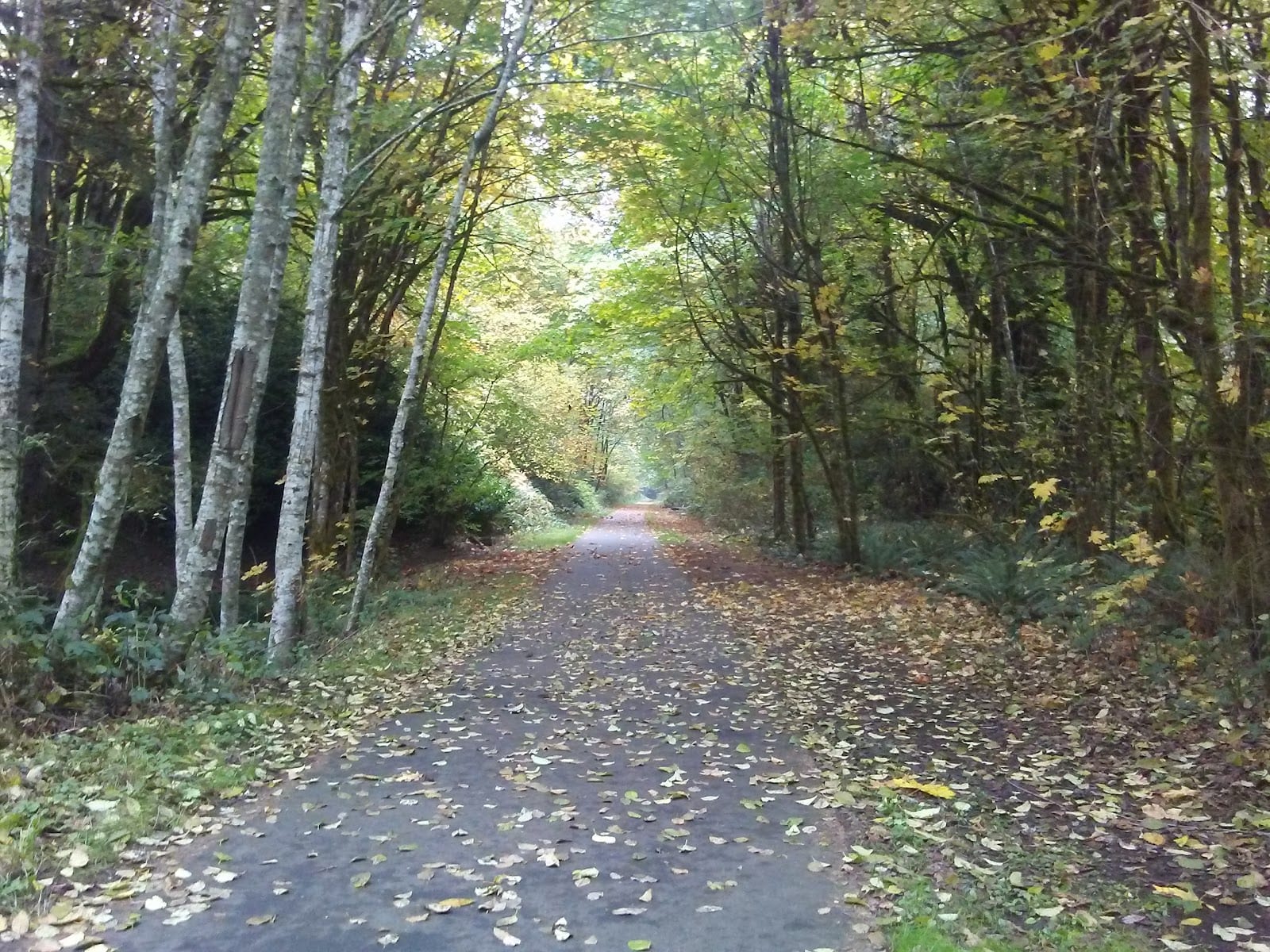 Woodland Trail / Frederick Street Crossing
