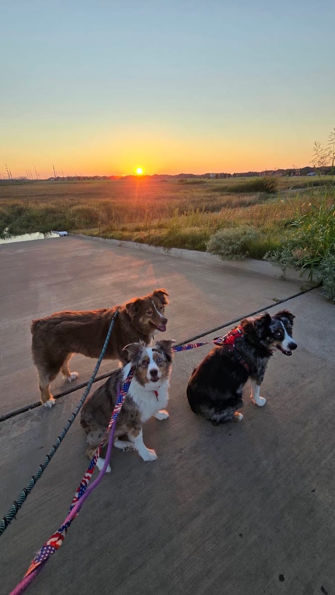 Bell Farms Park, photo 2
