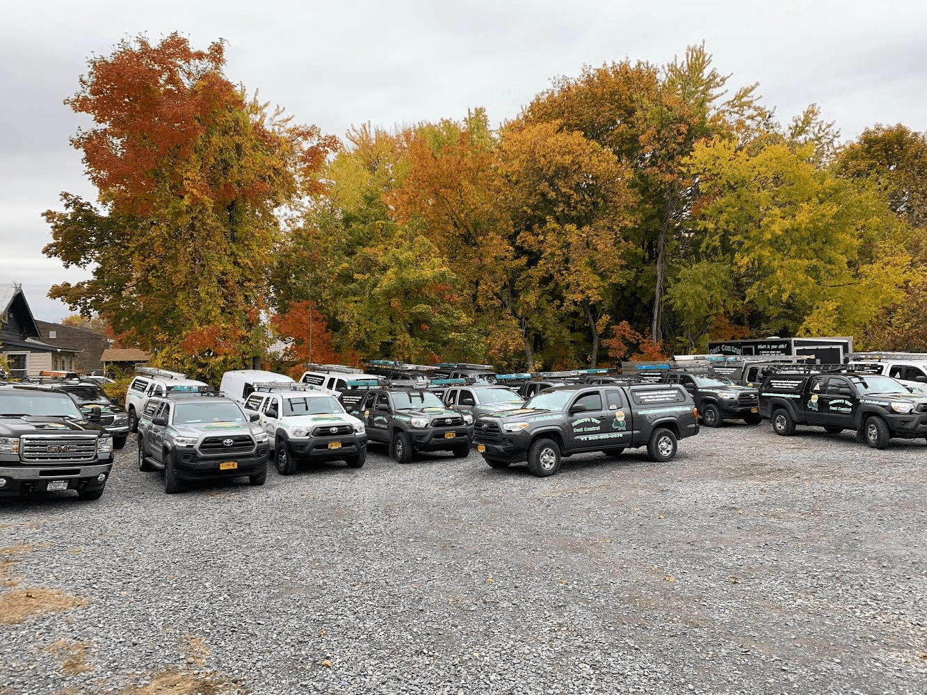 Nature's Way Pest Control - Saratoga Springs NY, photo 2