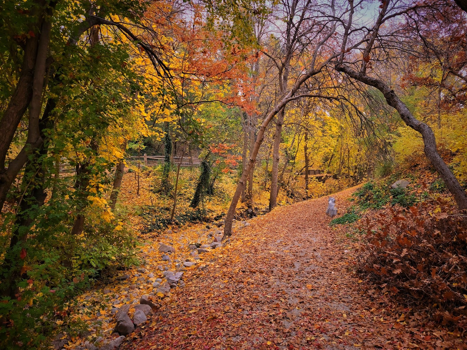 The Bonneville Glen