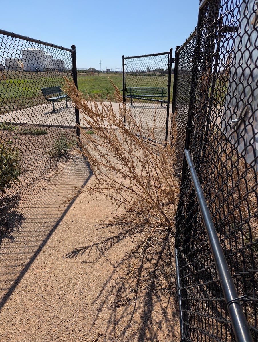 Shallowater Dog Park