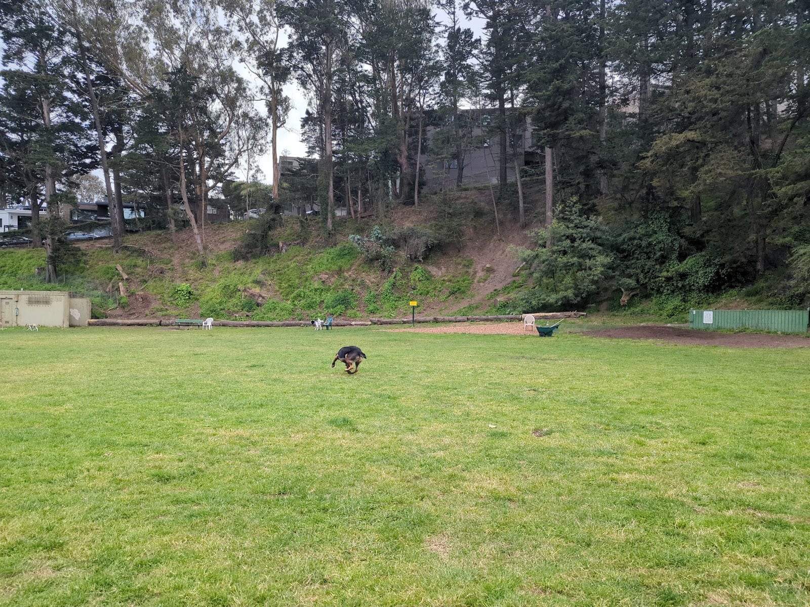 Upper Douglass Dog Play Area