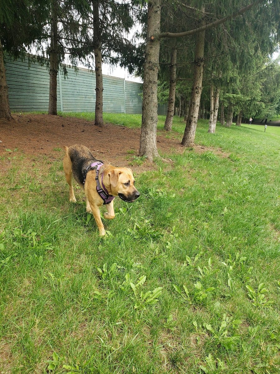 Pocket Designated Off-Leash Area