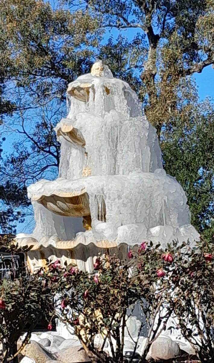 Neighborhood Park, photo 3