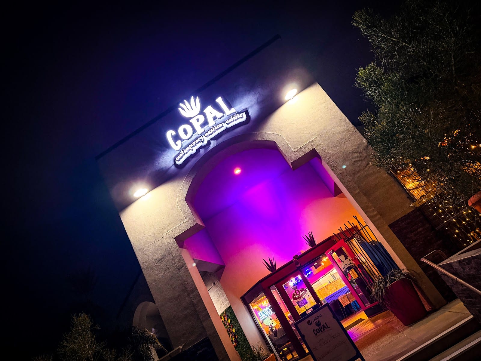 Copal Contemporary Mexican Cuisine, photo 2