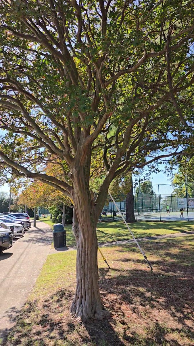 Huntington Park Tennis Center, photo 3